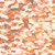 02_PPU41-Salmon_4g