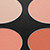 06_ BL3DS - Salmon 14g