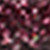 12_PAIL33-Burgundi_6,5g