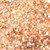 16_PP47-Champagne_4g